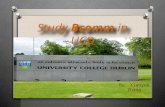 Study Bcomm in UCD