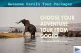 Exciting Kerala Tour Packages along with awesome travel destinations