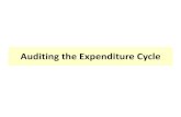 Ch 11 Expenditure Cycle