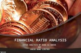financial ratio analysis..