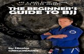 Beginner's Guide to BJJ