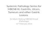 Systemic Pathology Series for MBChB III, Gastritis