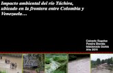 contaminacion del rio tachira de la frontera.pdf