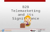 B2B Telemarketing and Its Significance