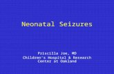 Neonatal Seizures2010