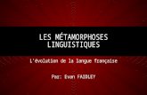 Les Metamorphoses Linguistiques