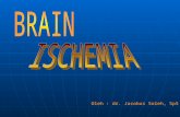 Brain Ischemic