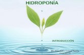 La Hidroponia