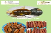 FERIA REGIONAL DE LA BIODIVERSIDAD EN LA SIERRA SUR.docx