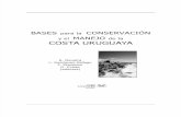 33 Ecología de Playas Arenosas de La Costa Uruguaya Una Revisión de 25 Años de Investigación Defeo