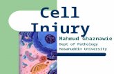 Cell Injury- English