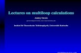 Lectures on Multiloop Calculations (Grozin)