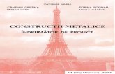 187235991 Constructii Metalice Indrumator de Proiect B Petrina Colectiv 1