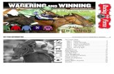 Wagering and Winning