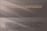 Diagnosticul Radioimagistic Al Aparatului Reno-urinar