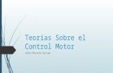 Teorías Sobre El Control Motor