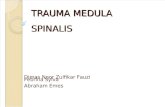 Trauma Medula Spinalis Dimas