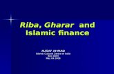 Riba and Islamic Finance