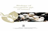 Files2 BiologyDocuments Biology of Cotton