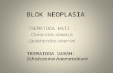 Blok NEOPL S Haematobium