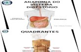 04 Trato Gastro Intestinal - Fígado e Sais Biliares