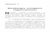 Cap. 3.Metodologia schimb_rii organiza_ionale.doc