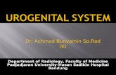 Kuliah Sistem Urogenital