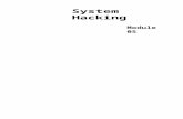 CEHv8 Module 05 System Hacking .docx