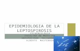 Leptospirosis - Epidemiologia