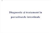 Diagnostic Si Tratament in Parazitozele Intestinale
