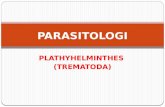 Parasitologi Plathyhelminthes Trematoda - Andareas