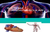 Sistema Circulatorio2015.pptx