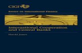 James - International Cooperation and Central Banks