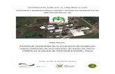 Estudio de Factibilidad Para Biogas