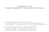 Chapter 30.Odontogenic Cysts and Tumors