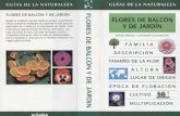 Flores de Balcon y de Jardin PDF by Chuska {Www Cantabriatorrent Net}