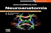Neuroanatomia Texto y Atlas en Color CROSSMAN 5ed medilibros.com.pdf