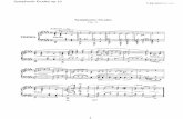 Schumann Robert Symphonic Etudes 1454