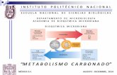 Metabolismo Carbonado