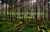 Política Forestal Nacional