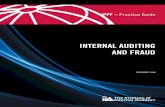 Guia de Auditoria y Fraude en Ingles año 2009.pdf