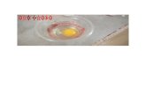 Tugas BIOLOGI Praktikum Osmosis Kuning Telur by Hafidh Bagus a P (XI IPA 1)1