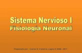 Clase21 - Sistema Nervioso - Fisiologia Neuronal