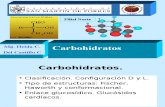 FMH Chi 2015 Clase Carbohidratos