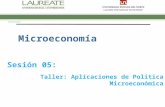 Sesion 05 Taller 1 Aplicaciones de Politica Microeconomica