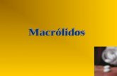 6 Macrolidos 25 is 12