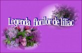 0 Legendele Florilor de Liliac