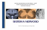 Aula Neuro Unipê.pdf