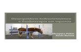 Desequilibrio Hidroeletrolitico e Fluidoterapia Em Equinos (1) (2)