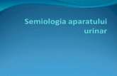 Semiologia Aparatului Urinar Curs 5